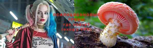 мяу мяу мука Баксан