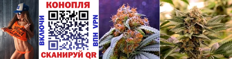 закладка  блэк спрут ссылки  Бошки Шишки LSD WEED  Валдай 